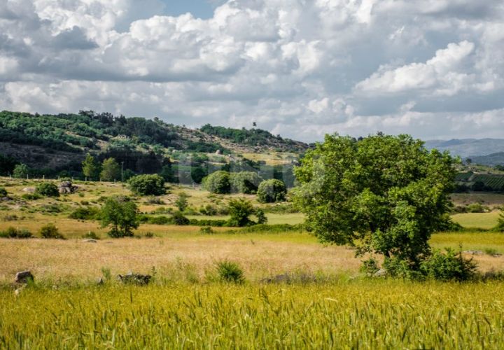 Terra a Caria, Castelo Branco, Caria - € 46.000 | Ref: UNU.I.1088.12348 - foto 1