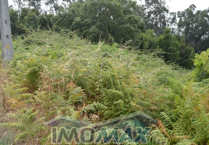 Helårsgrund i Amarante, Porto, Amarante - € 72.000 | Ref: 2022-104 - foto 1