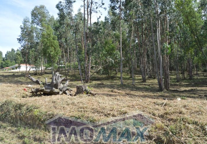 Helårsgrund i Penafiel, Porto, Penafiel - € 100.000 | Ref: 2022-089 - foto 1