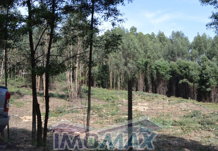 Helårsgrund i Penafiel, Porto, Penafiel - € 1.000.000 | Ref: 2022-091 - foto 1