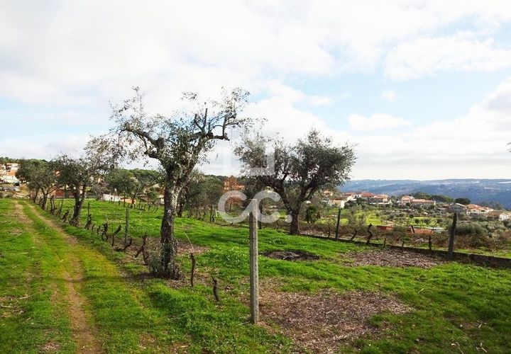 Helårsgrund i Viseu, Viseu, Viseu - € 60.000 | Ref: 353/T/01269 - foto 1
