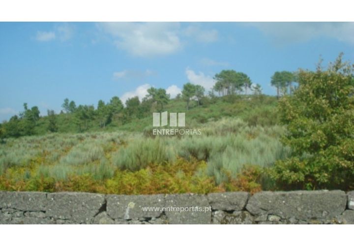 Terra em Ancede e Ribadouro, Porto, Ancede e Ribadouro - € 85.000 | Ref: MC06499 - foto 1