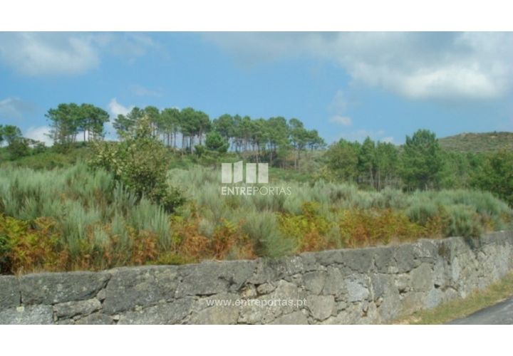 Grond in Ancede e Ribadouro, Porto, Ancede e Ribadouro - € 85.000 | Ref: MC06499 - foto 1