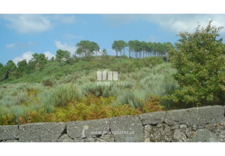 Terreno en Ancede e Ribadouro, Porto, Ancede e Ribadouro - € 85.000 | Ref: MC06499 - photo 1