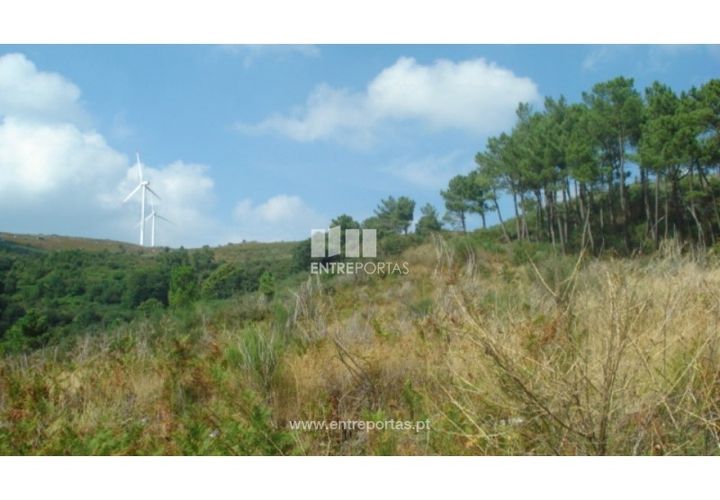 Terra em Ancede e Ribadouro, Porto, Ancede e Ribadouro - € 25.000 | Ref: MC06495 - foto 1