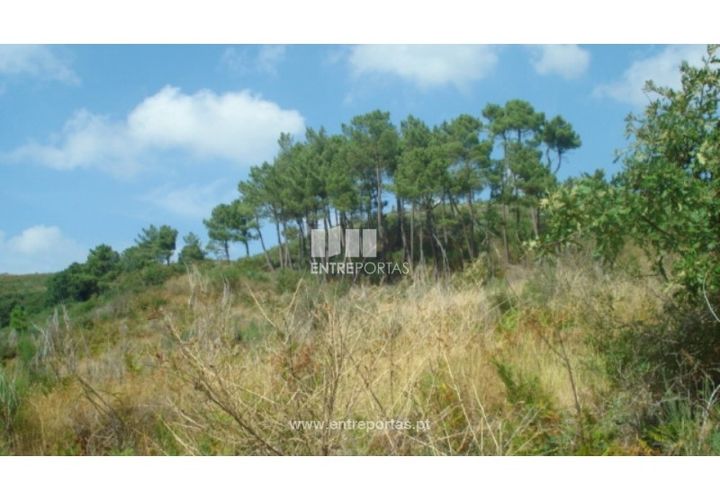 Terra a Ancede e Ribadouro, Porto, Ancede e Ribadouro - € 25.000 | Ref: MC06495 - foto 1