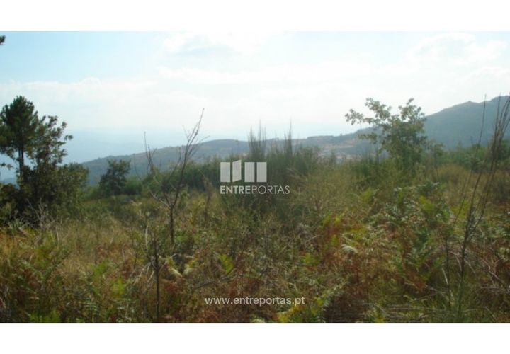 Terreno en Ancede e Ribadouro, Porto, Ancede e Ribadouro - € 70.000 | Ref: MC06498 - photo 1