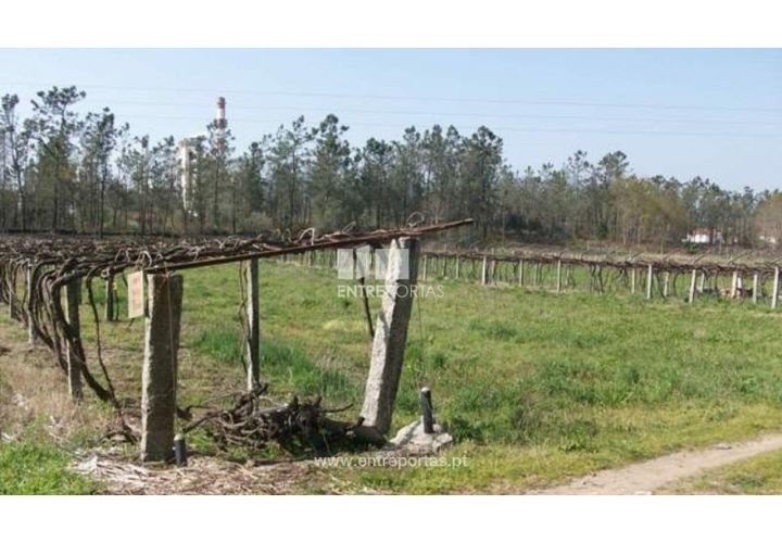 Helårsgrund i Darque, Viana do Castelo, Darque - € 47.000 | Ref: 6808 - foto 1