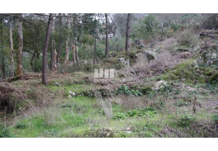 Terra a Venade e Azevedo, Viana do Castelo, Venade e Azevedo - € 40.000 | Ref: C00105 - foto 1
