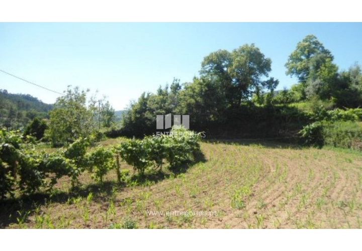 Helårsgrund i Cinfaes, Viseu, Cinfaes - € 15.000 | Ref: MC03656 - foto 1