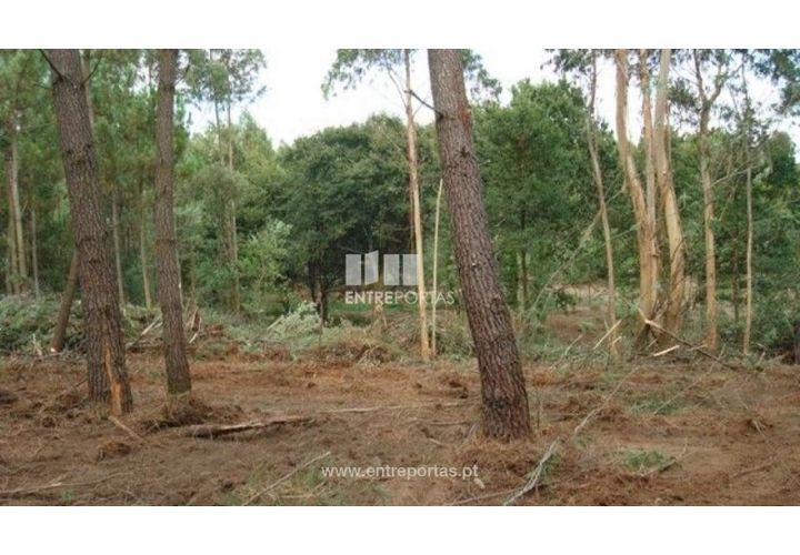 Helårsgrund i Esposende, Braga, Esposende - € 477.500 | Ref: VCC09434 - foto 1