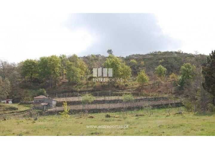 Helårsgrund i Amarante, Porto, Amarante - € 13.500 | Ref: MC04482 - foto 1