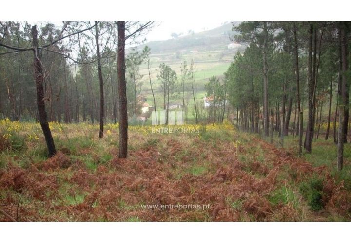 Grond in Ancede e Ribadouro, Porto, Ancede e Ribadouro - € 42.000 | Ref: MC04929 - foto 1