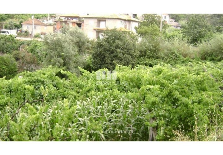 Helårsgrund i Baiao, Porto, Baiao - € 27.500 | Ref: MC05353 - foto 1