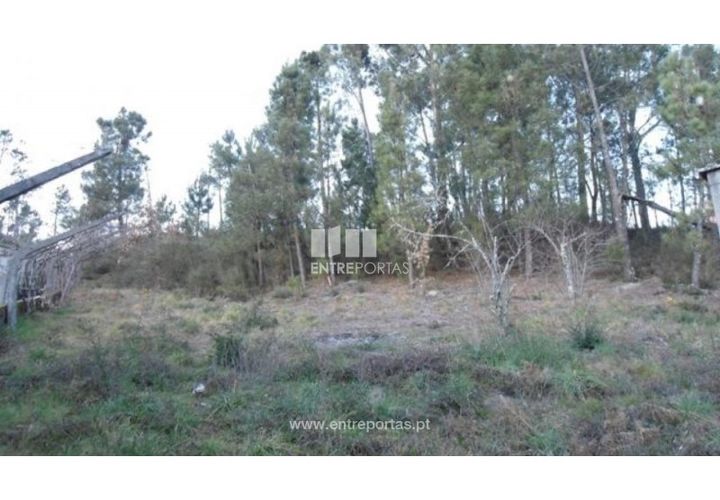 Terra a Ancede e Ribadouro, Porto, Ancede e Ribadouro - € 40.000 | Ref: MC05379 - foto 1