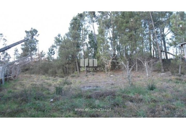 Terrain - Ancede e Ribadouro, Porto, Ancede e Ribadouro - € 107 500 | Réf : MC05379 - photo 1