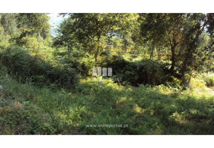 Terra a Airaes, Porto, Airaes - € 95.000 | Ref: MC05483 - foto 1