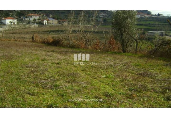 Helårsgrund i Baiao, Porto, Baiao - € 22.500 | Ref: MC05711 - foto 1