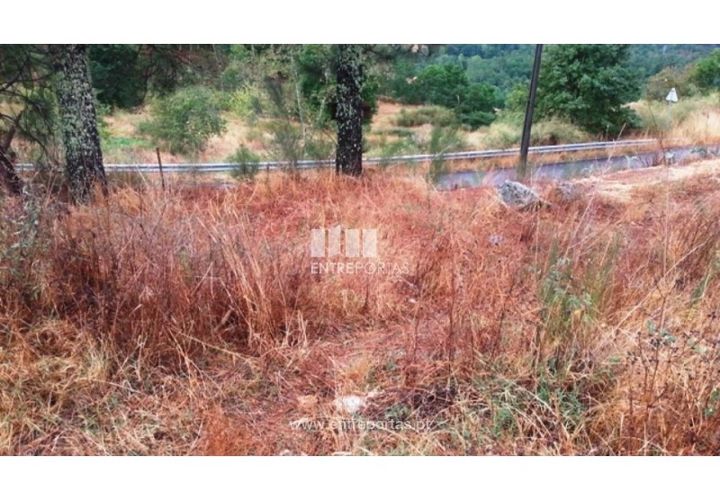 Helårsgrund i Ancede e Ribadouro, Porto, Ancede e Ribadouro - € 32.500 | Ref: MC05854 - foto 1