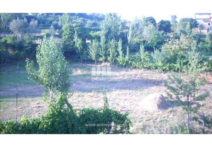 Terra a Cinfaes, Viseu, Cinfaes - € 23.500 | Ref: MC05973 - foto 1