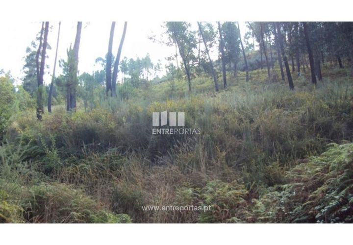 Helårsgrund i Amarante, Porto, Amarante - € 40.000 | Ref: MC06130 - foto 1