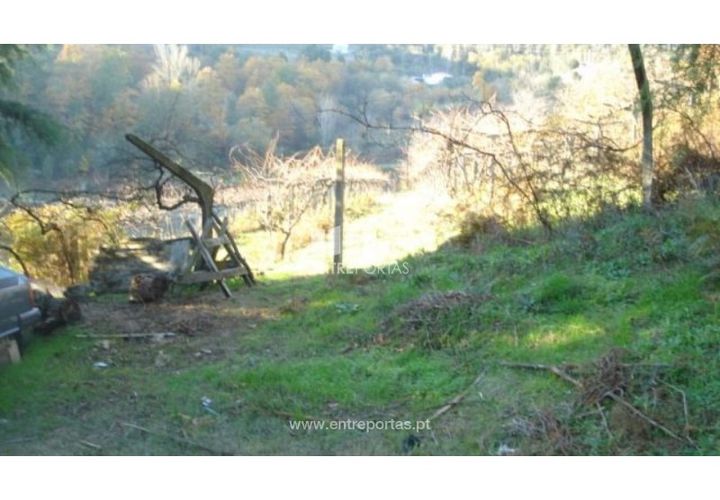 Helårsgrund i Baiao, Porto, Baiao - € 56.500 | Ref: MC06362 - foto 1