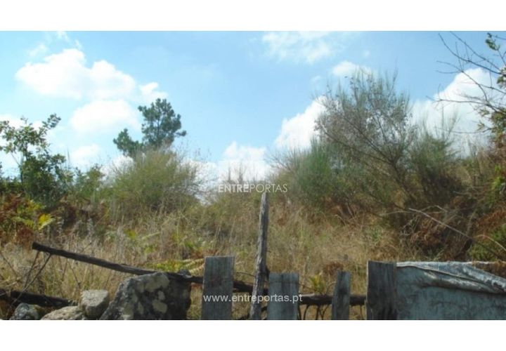 Terreno en Ancede e Ribadouro, Porto, Ancede e Ribadouro - € 85.000 | Ref: MC06497 - photo 1