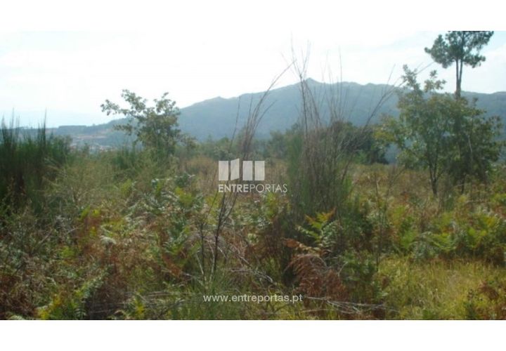 Helårsgrund i Ancede e Ribadouro, Porto, Ancede e Ribadouro - € 40.000 | Ref: MC06500 - foto 1