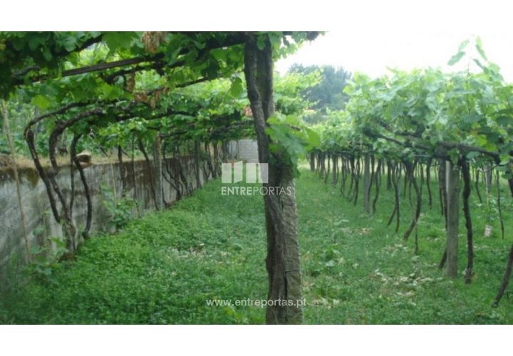 Terra a Banho e Carvalhosa, Porto, Banho e Carvalhosa - € 56.500 | Ref: MC06783 - foto 1
