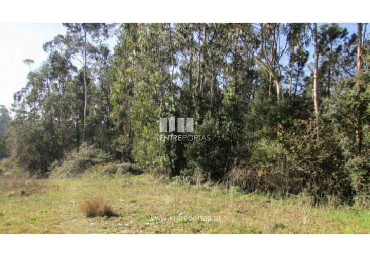Helårsgrund i Penafiel, Porto, Penafiel - € 120.000 | Ref: VC01457 - foto 1