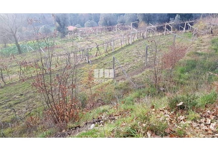Helårsgrund i Ponte de Lima, Viana do Castelo, Ponte de Lima - € 58.000 | Ref: VCC11606 - foto 1