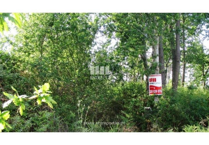 Terra em Abrantes, Santarem, Abrantes - € 15.900 | Ref: VCM11706 - foto 1
