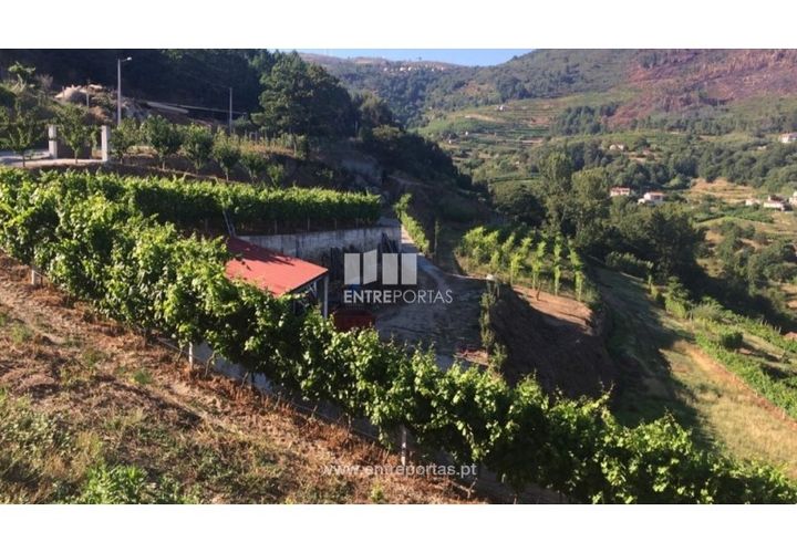 Helårsgrund i Ancede e Ribadouro, Porto, Ancede e Ribadouro - € 75.000 | Ref: MC07755 - foto 1