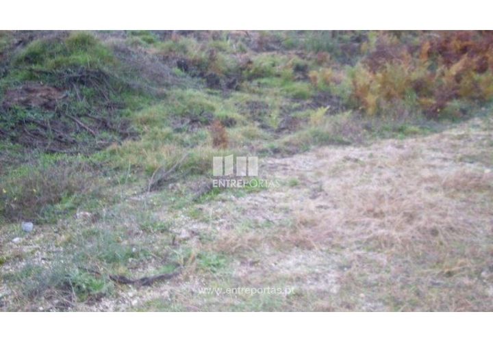 Tomt i Grilo, Porto, Grilo - € 21 500 | Ref: MC07649 - foto 1