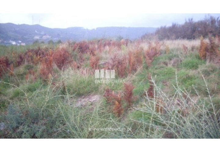 Grond in Grilo, Porto, Grilo - € 25.000 | Ref: MC07650 - foto 1