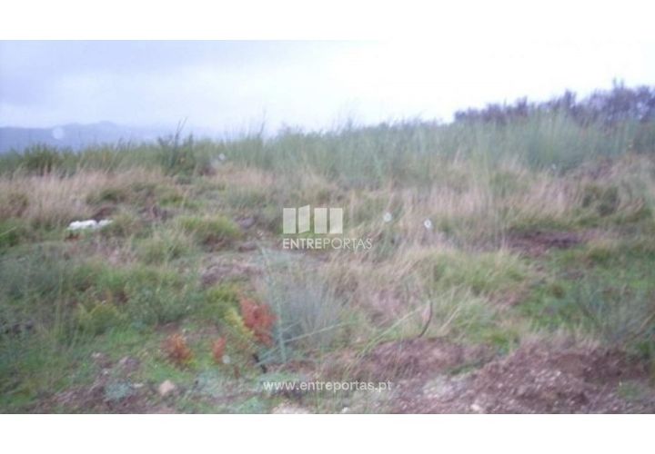 Terra a Grilo, Porto, Grilo - € 25.000 | Ref: MC07651 - foto 1