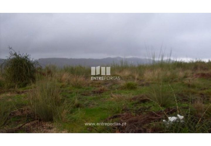 Terra a Grilo, Porto, Grilo - € 22.500 | Ref: MC07652 - foto 1
