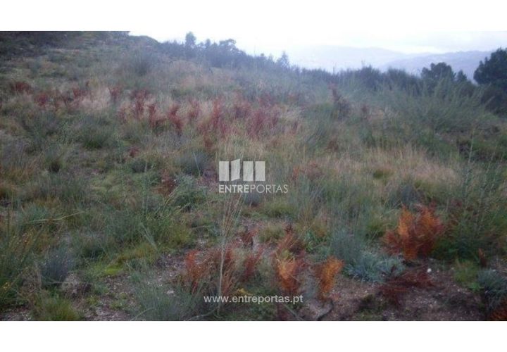 Helårsgrund i Grilo, Porto, Grilo - € 25.000 | Ref: MC07653 - foto 1