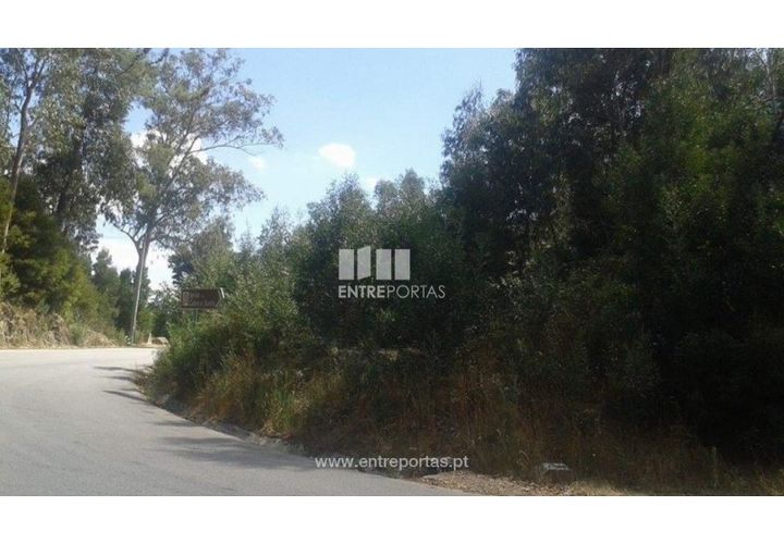 Terra a Cabeca Santa, Porto, Cabeca Santa - € 150.000 | Ref: MC07632 - foto 1