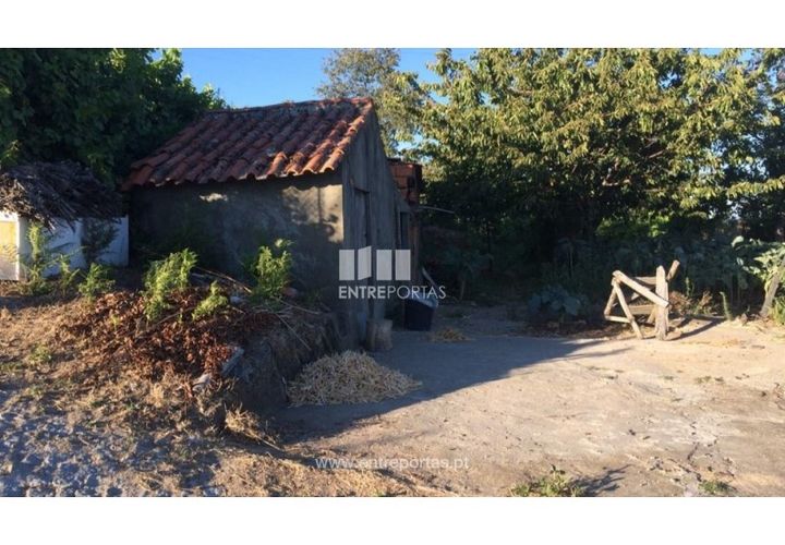Terra a Ancede e Ribadouro, Porto, Ancede e Ribadouro - € 20.000 | Ref: MC07772 - foto 1