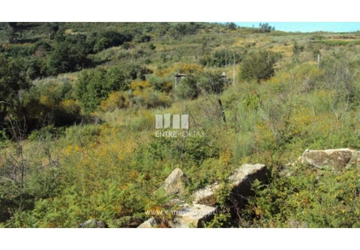 Terra a Ancede e Ribadouro, Porto, Ancede e Ribadouro - € 15.000 | Ref: MC07773 - foto 1