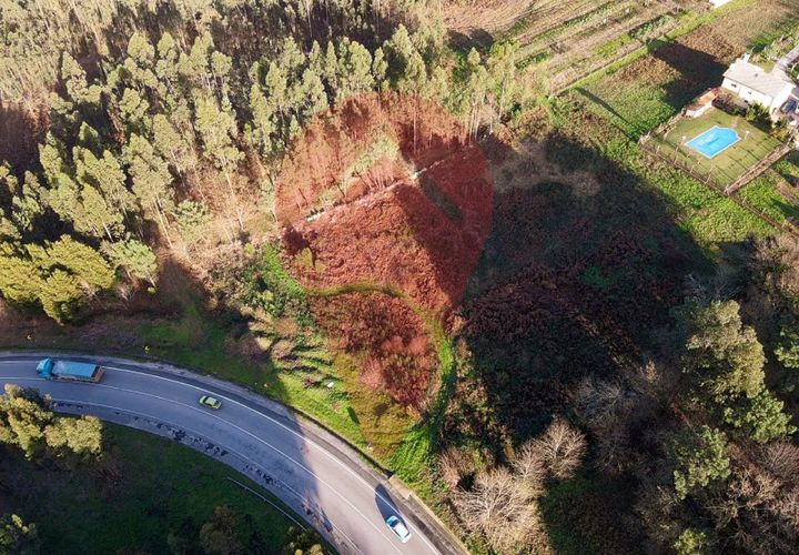 Terra a Ganfei, Viana do Castelo, Ganfei - € 215.000 | Ref: TER_149 - foto 1