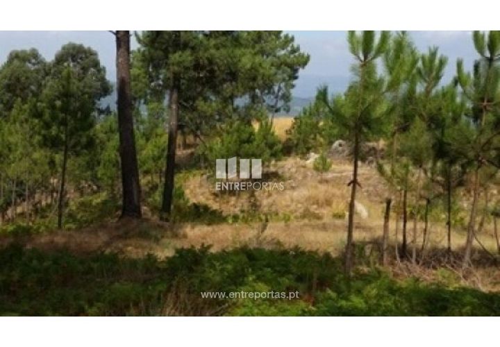 Helårsgrund i Ancede e Ribadouro, Porto, Ancede e Ribadouro - € 37.500 | Ref: MC08113 - foto 1