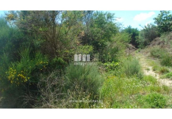 Helårsgrund i Ancede e Ribadouro, Porto, Ancede e Ribadouro - € 17.500 | Ref: MC08151 - foto 1