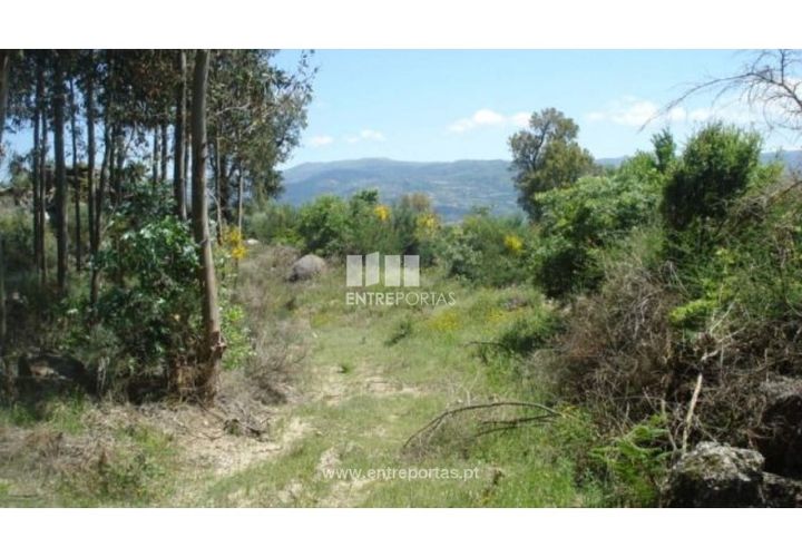 Tomt i Ancede e Ribadouro, Porto, Ancede e Ribadouro - € 22 500 | Ref: MC08152 - foto 1