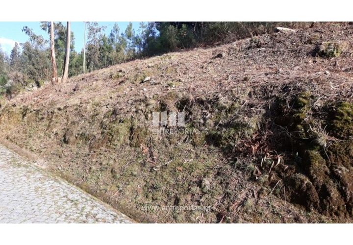 Helårsgrund i Baiao, Porto, Baiao - € 16.000 | Ref: MC08279 - foto 1