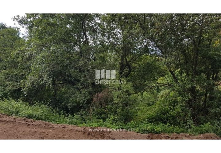 Terra a Ancede e Ribadouro, Porto, Ancede e Ribadouro - € 8.000 | Ref: MC08282 - foto 1