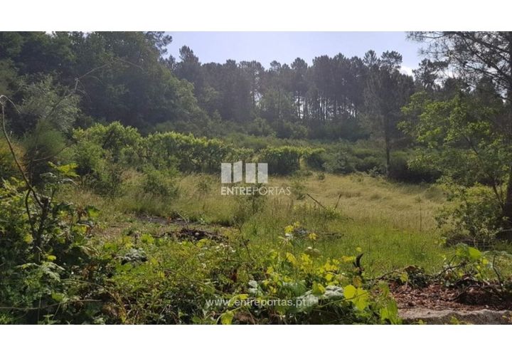 Helårsgrund i Ancede e Ribadouro, Porto, Ancede e Ribadouro - € 17.500 | Ref: MC08283 - foto 1