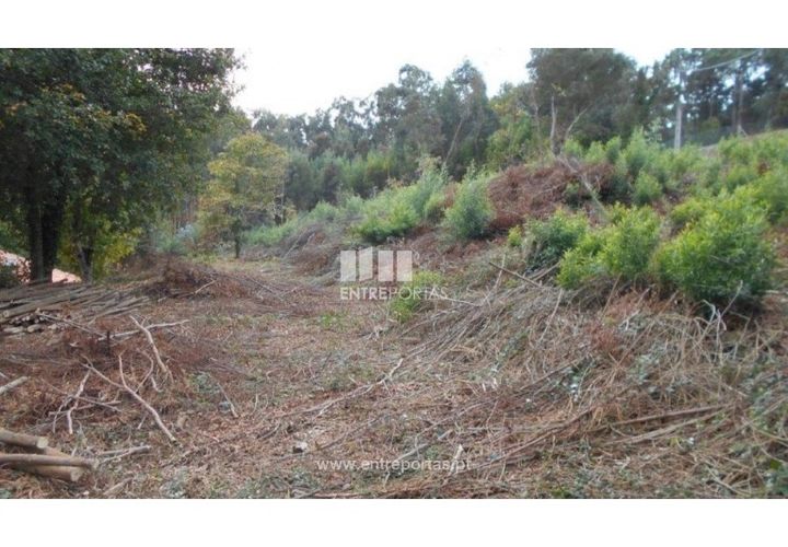 Helårsgrund i Venade e Azevedo, Viana do Castelo, Venade e Azevedo - € 120.000 | Ref: C01900(1) - foto 1