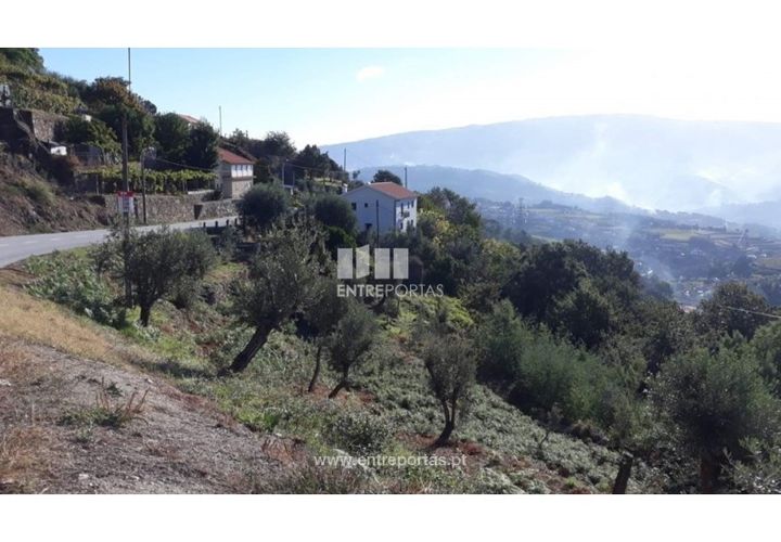 Tomt i Loivos do Monte, Porto, Loivos do Monte - € 25 500 | Ref: MC08483 - foto 1
